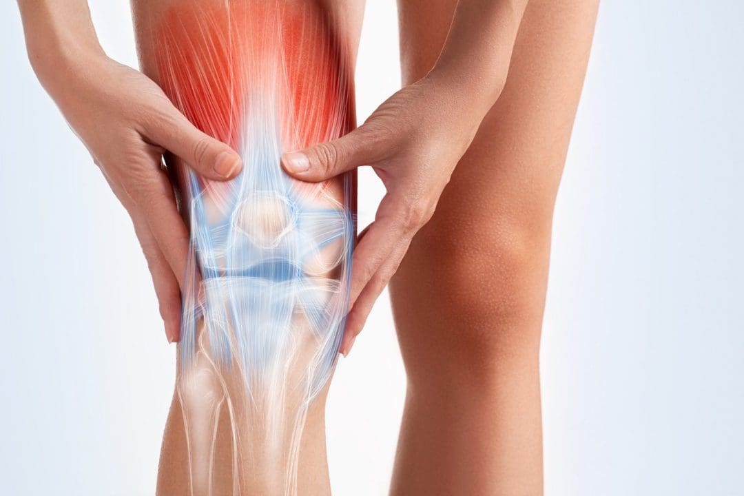 knee pain and meniscus tear