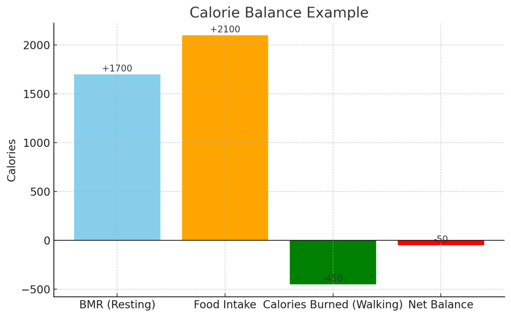 Calorie Balance Chart