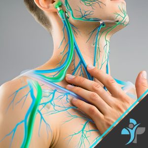 Does Lymphatic Drainage Massage Work on the Face