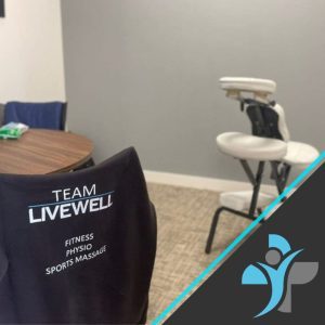 BioCare Office Chair Massage