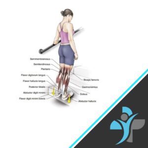 Double Plantar Flexor Stretch