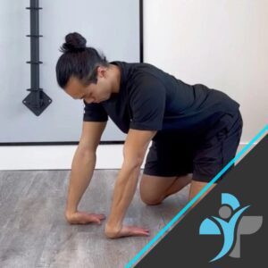 Wrist Flexor Stretch Biomechanics